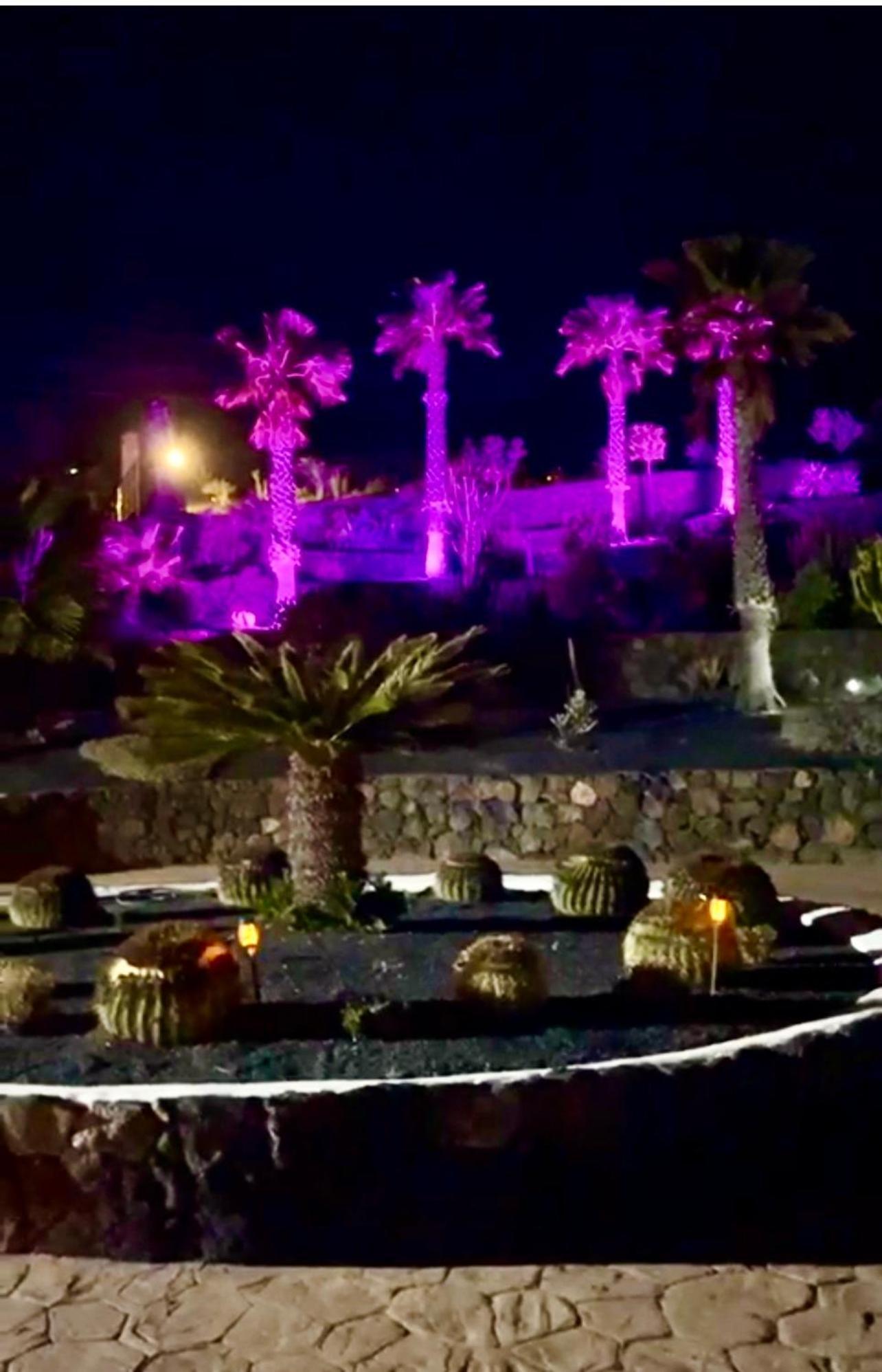 Castillo Lanzarote Villa Bailey - Luxury Villa - Pet Friendly With Heated Pool Ла-Асомада Экстерьер фото