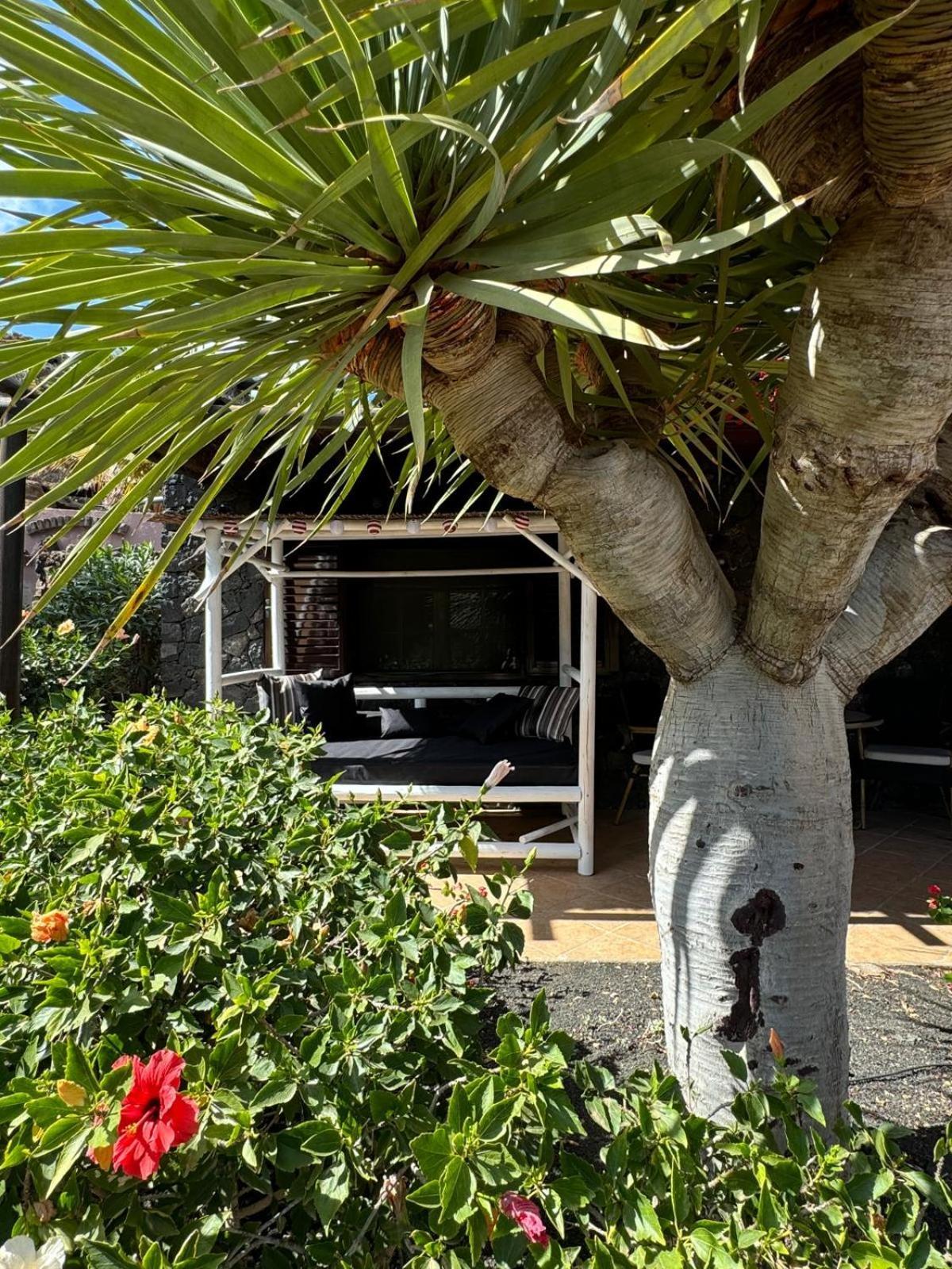 Castillo Lanzarote Villa Bailey - Luxury Villa - Pet Friendly With Heated Pool Ла-Асомада Экстерьер фото