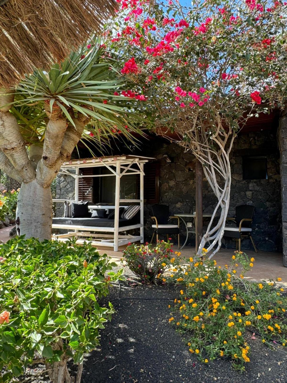 Castillo Lanzarote Villa Bailey - Luxury Villa - Pet Friendly With Heated Pool Ла-Асомада Экстерьер фото